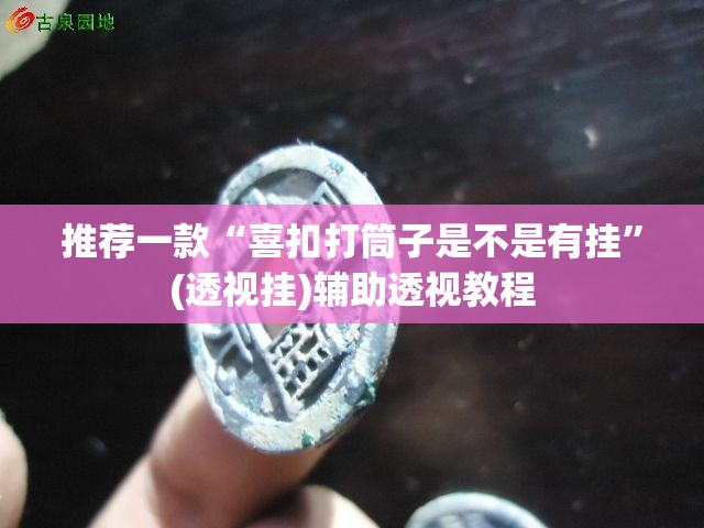 推荐一款“喜扣打筒子是不是有挂”(透视挂)辅助透视教程