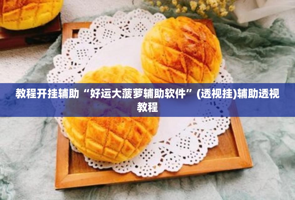 教程开挂辅助“好运大菠萝辅助软件”(透视挂)辅助透视教程