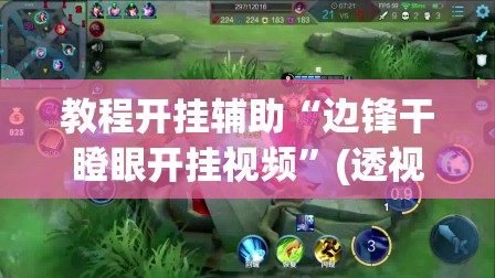 教程开挂辅助“边锋干瞪眼开挂视频	”(透视挂)辅助透视教程