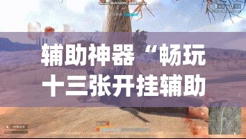 辅助神器“畅玩十三张开挂辅助软件”(透视挂)辅助透视教程