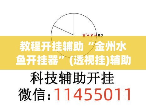 教程开挂辅助“金州水鱼开挂器”(透视挂)辅助透视教程