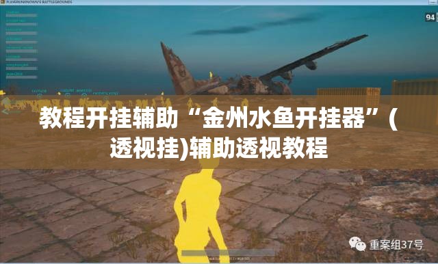 教程开挂辅助“金州水鱼开挂器”(透视挂)辅助透视教程