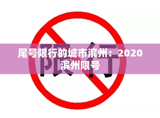 尾号限行的城市滨州:2020滨州限号 尾号限行的城市滨州:2020滨州限号