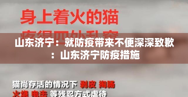 山东济宁：就防疫带来不便深深致歉：山东济宁防疫措施