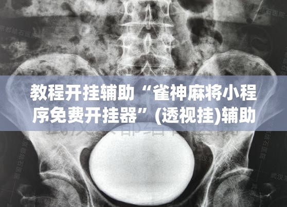 教程开挂辅助“雀神麻将小程序免费开挂器”(透视挂)辅助透视教程