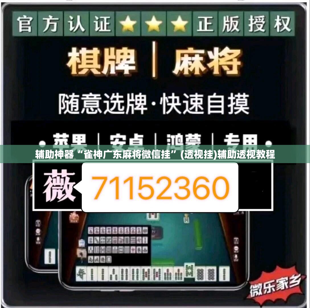 辅助神器“雀神广东麻将微信挂”(透视挂)辅助透视教程