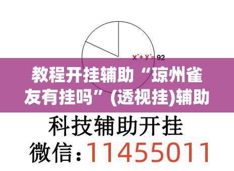 教程开挂辅助“琼州雀友有挂吗”(透视挂)辅助透视教程