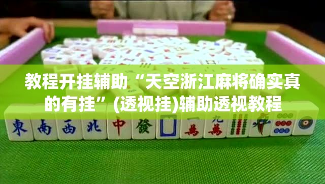 教程开挂辅助“天空浙江麻将确实真的有挂”(透视挂)辅助透视教程