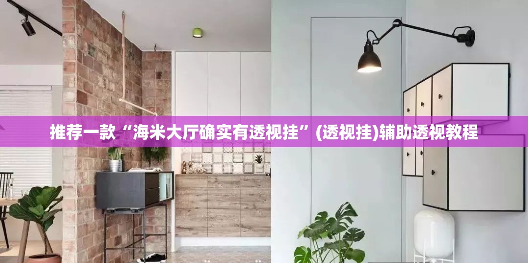 推荐一款“海米大厅确实有透视挂”(透视挂)辅助透视教程