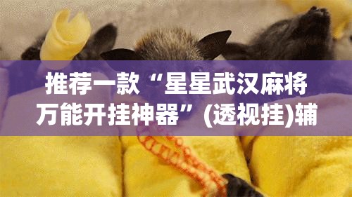 推荐一款“星星武汉麻将万能开挂神器”(透视挂)辅助透视教程