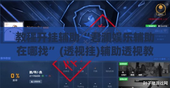 教程开挂辅助“君澜娱乐辅助在哪找”(透视挂)辅助透视教程