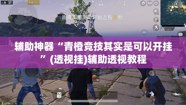 辅助神器“青橙竞技其实是可以开挂”(透视挂)辅助透视教程