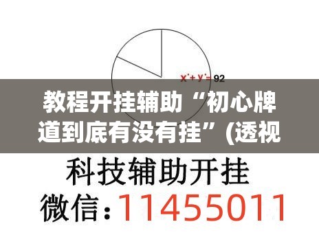 教程开挂辅助“初心牌道到底有没有挂”(透视挂)辅助透视教程