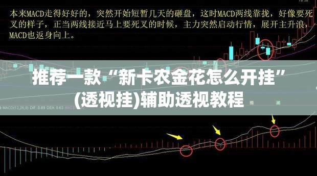 推荐一款“新卡农金花怎么开挂”(透视挂)辅助透视教程