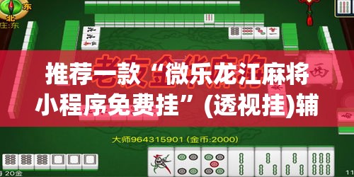 推荐一款“微乐龙江麻将小程序免费挂”(透视挂)辅助透视教程
