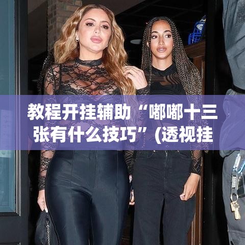 教程开挂辅助“嘟嘟十三张有什么技巧	”(透视挂)辅助透视教程