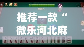 推荐一款“微乐河北麻将万能开挂器免费通用版”(透视挂)辅助透视教程