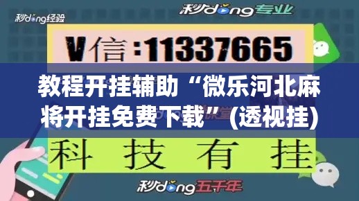 教程开挂辅助“微乐河北麻将开挂免费下载	”(透视挂)辅助透视教程