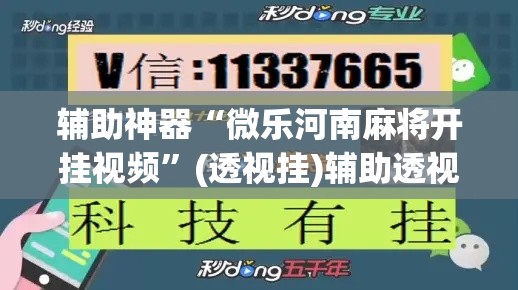 辅助神器“微乐河南麻将开挂视频”(透视挂)辅助透视教程