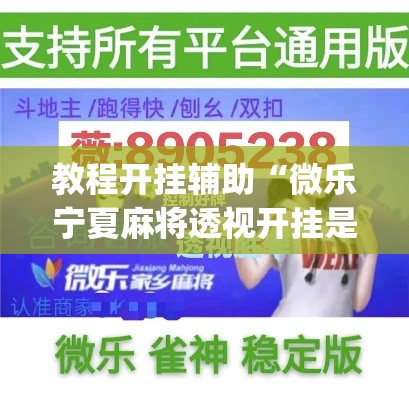 教程开挂辅助“微乐宁夏麻将透视开挂是不是真的”(透视挂)辅助透视教程