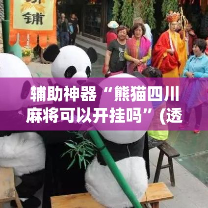 辅助神器“熊猫四川麻将可以开挂吗”(透视挂)辅助透视教程
