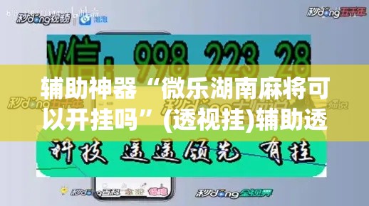 辅助神器“微乐湖南麻将可以开挂吗”(透视挂)辅助透视教程