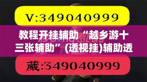 教程开挂辅助“越乡游十三张辅助”(透视挂)辅助透视教程