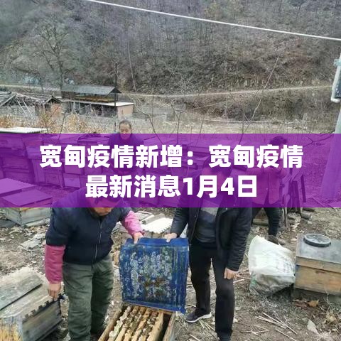 宽甸疫情新增:宽甸疫情最新消息1月4日 宽甸疫情新增:宽甸疫情最新消息1月4日