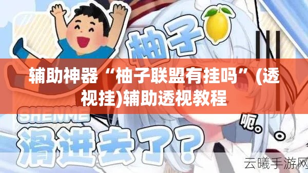 辅助神器“柚子联盟有挂吗	”(透视挂)辅助透视教程