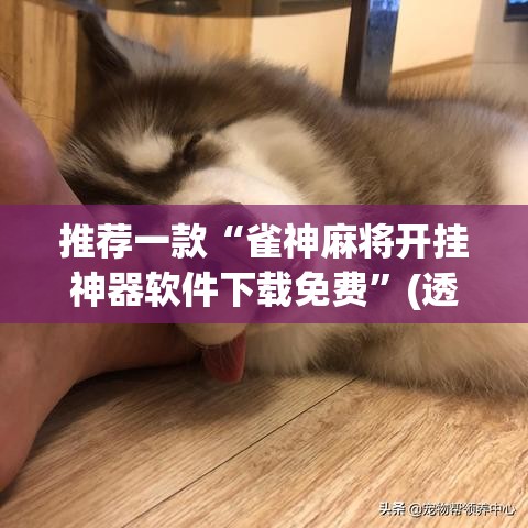 推荐一款“雀神麻将开挂神器软件下载免费”(透视挂)辅助透视教程
