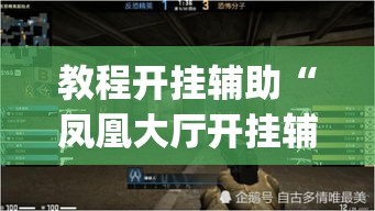 教程开挂辅助“凤凰大厅开挂辅助”(透视挂)辅助透视教程