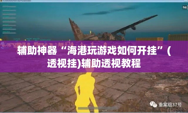 辅助神器“海港玩游戏如何开挂”(透视挂)辅助透视教程