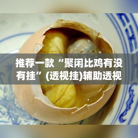 推荐一款“聚闲比鸡有没有挂”(透视挂)辅助透视教程