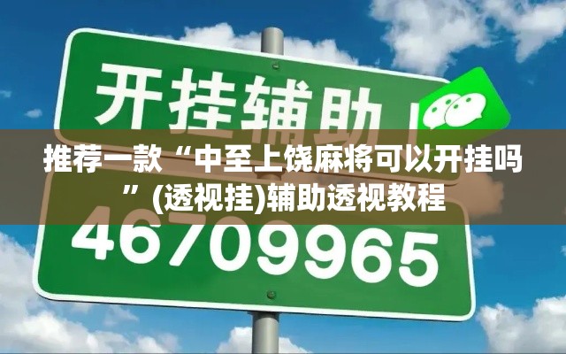 推荐一款“中至上饶麻将可以开挂吗”(透视挂)辅助透视教程