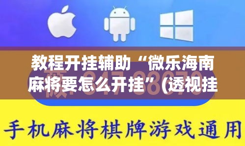 教程开挂辅助“微乐海南麻将要怎么开挂”(透视挂)辅助透视教程