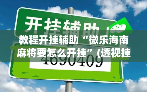 教程开挂辅助“微乐海南麻将要怎么开挂”(透视挂)辅助透视教程