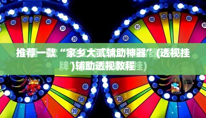 推荐一款“家乡大贰辅助神器”(透视挂)辅助透视教程
