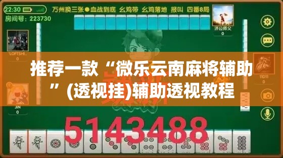 推荐一款“微乐云南麻将辅助”(透视挂)辅助透视教程