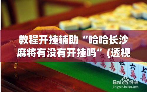 教程开挂辅助“哈哈长沙麻将有没有开挂吗”(透视挂)辅助透视教程