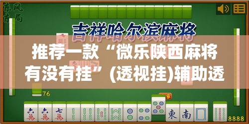 推荐一款“微乐陕西麻将有没有挂”(透视挂)辅助透视教程