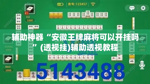 辅助神器“安徽王牌麻将可以开挂吗	”(透视挂)辅助透视教程