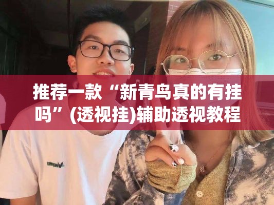 推荐一款“新青鸟真的有挂吗	”(透视挂)辅助透视教程