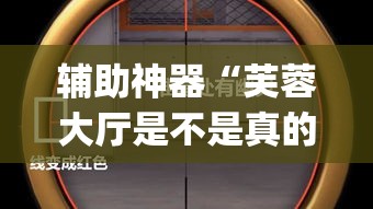 辅助神器“芙蓉大厅是不是真的有挂”(透视挂)辅助透视教程