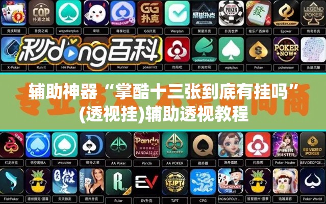 辅助神器“掌酷十三张到底有挂吗	”(透视挂)辅助透视教程