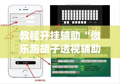 教程开挂辅助“微乐跑胡子透视辅助挂”(透视挂)辅助透视教程