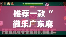 推荐一款“微乐广东麻将开挂教程”(透视挂)辅助透视教程