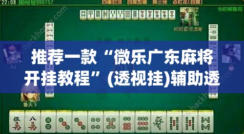 推荐一款“微乐广东麻将开挂教程”(透视挂)辅助透视教程