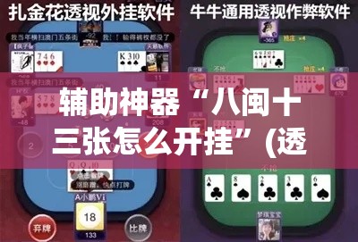 辅助神器“八闽十三张怎么开挂”(透视挂)辅助透视教程
