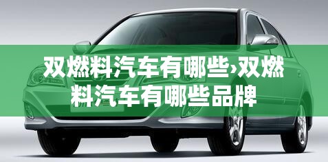 双燃料汽车有哪些›双燃料汽车有哪些品牌