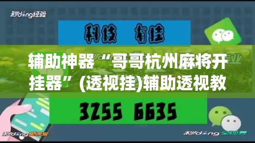 辅助神器“哥哥杭州麻将开挂器”(透视挂)辅助透视教程